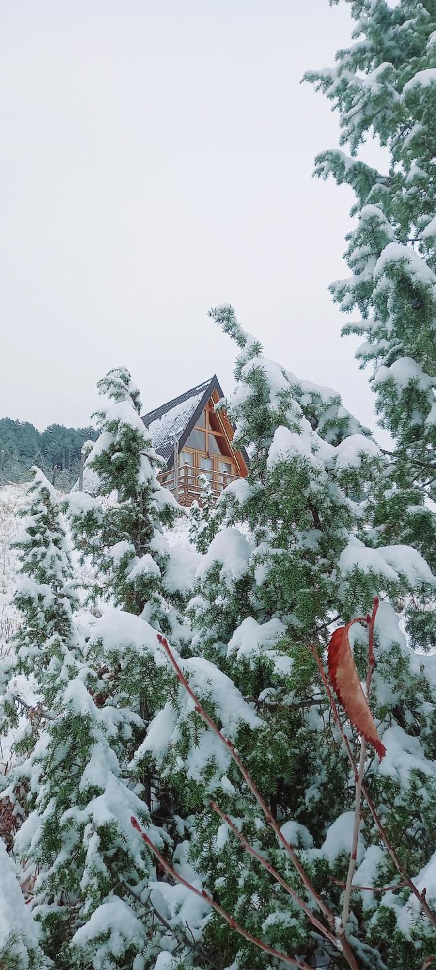 Villa Monte Zen Žabljak Exterior foto
